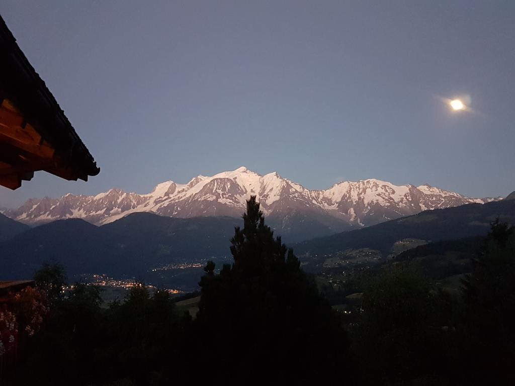 La Joubarbe Au Balcon Du Mont-Blanc Villa Sallanches Exterior foto